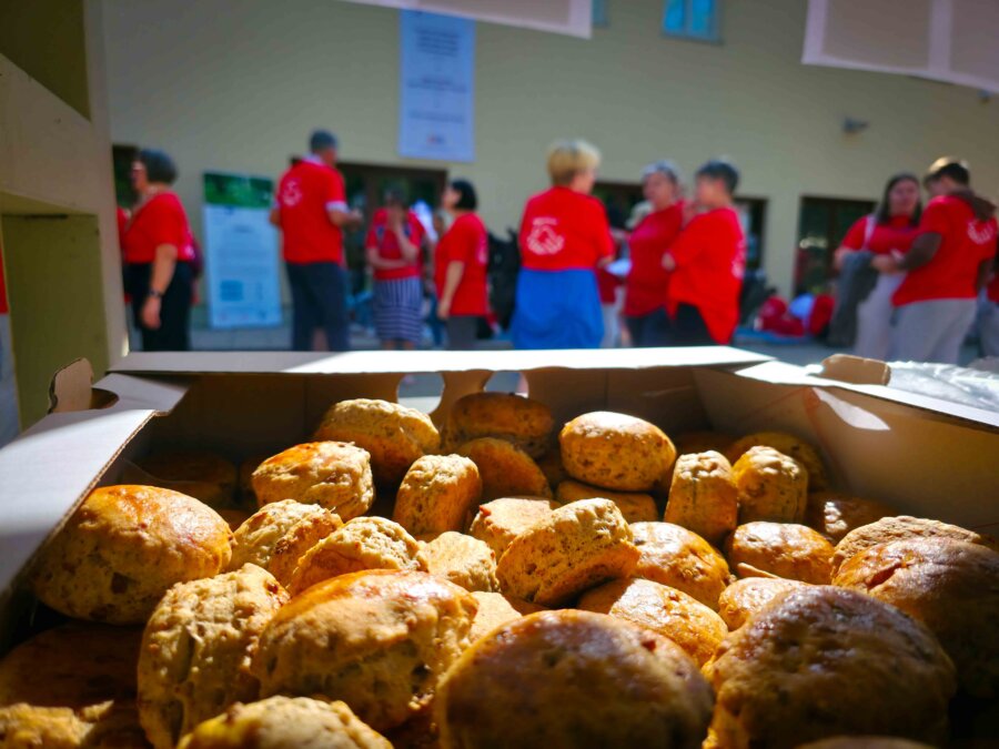 VitaMed – Sejem zdravega življenjskega sloga v Brežicah